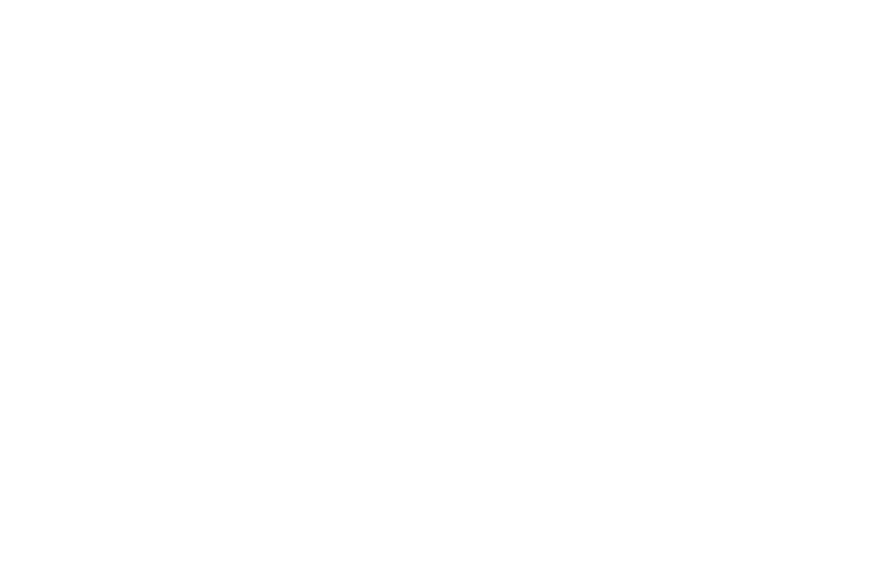 Barracudas Tour Krabi logo