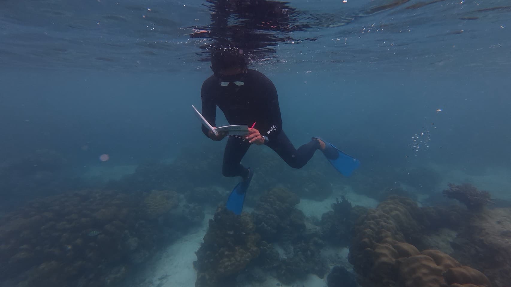 A snorkeller recording reef data on an underwater slate during a Reef Watch monitoring survey